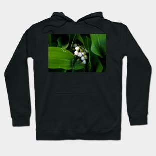 Lily of the valley after the rain Hoodie